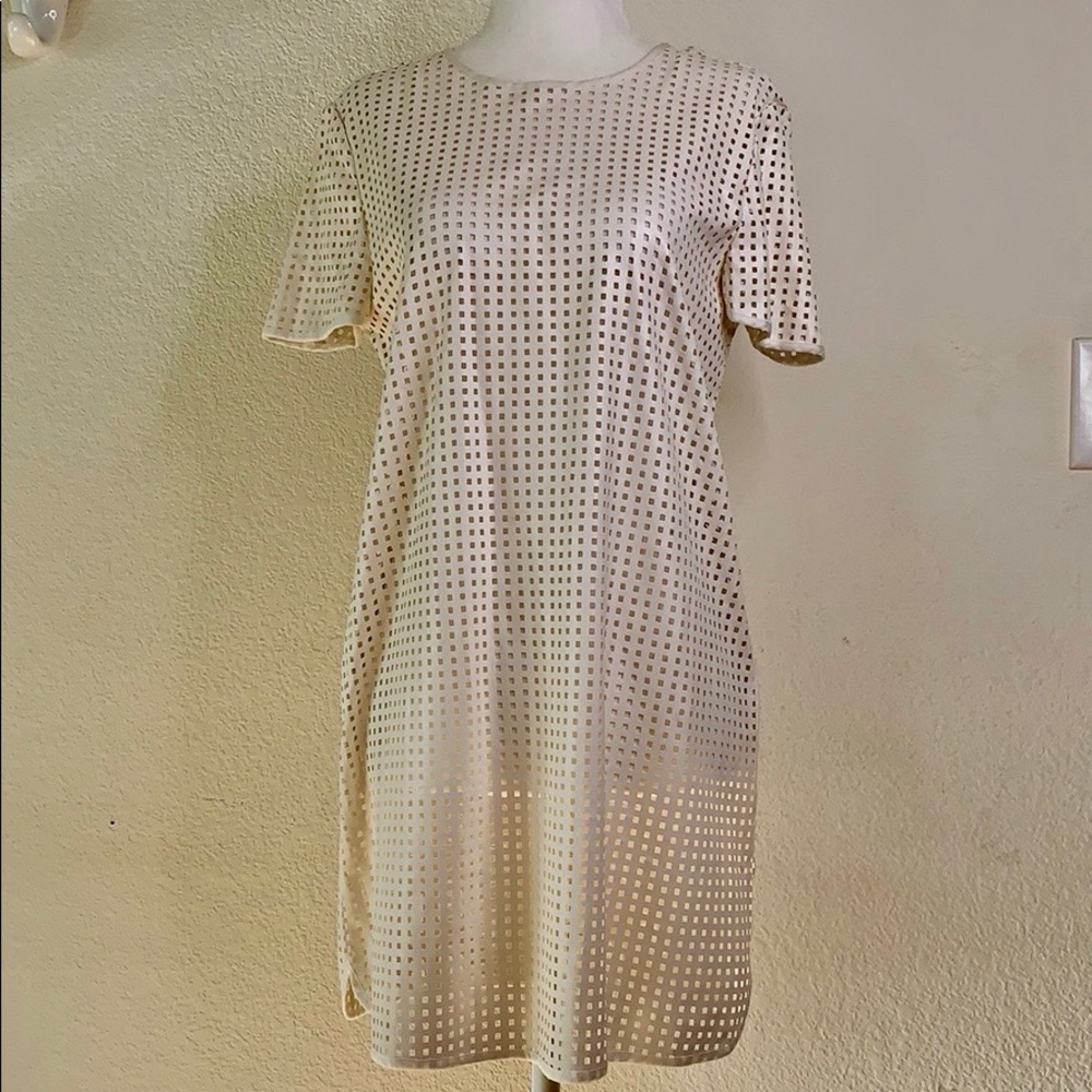 White mesh dress